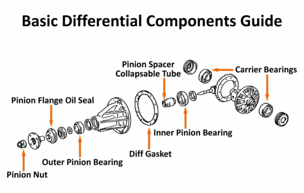 pinion bearing vs carrier bearing